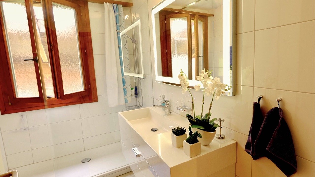 Photo of Bathroom in Oberhofen am Thunersee