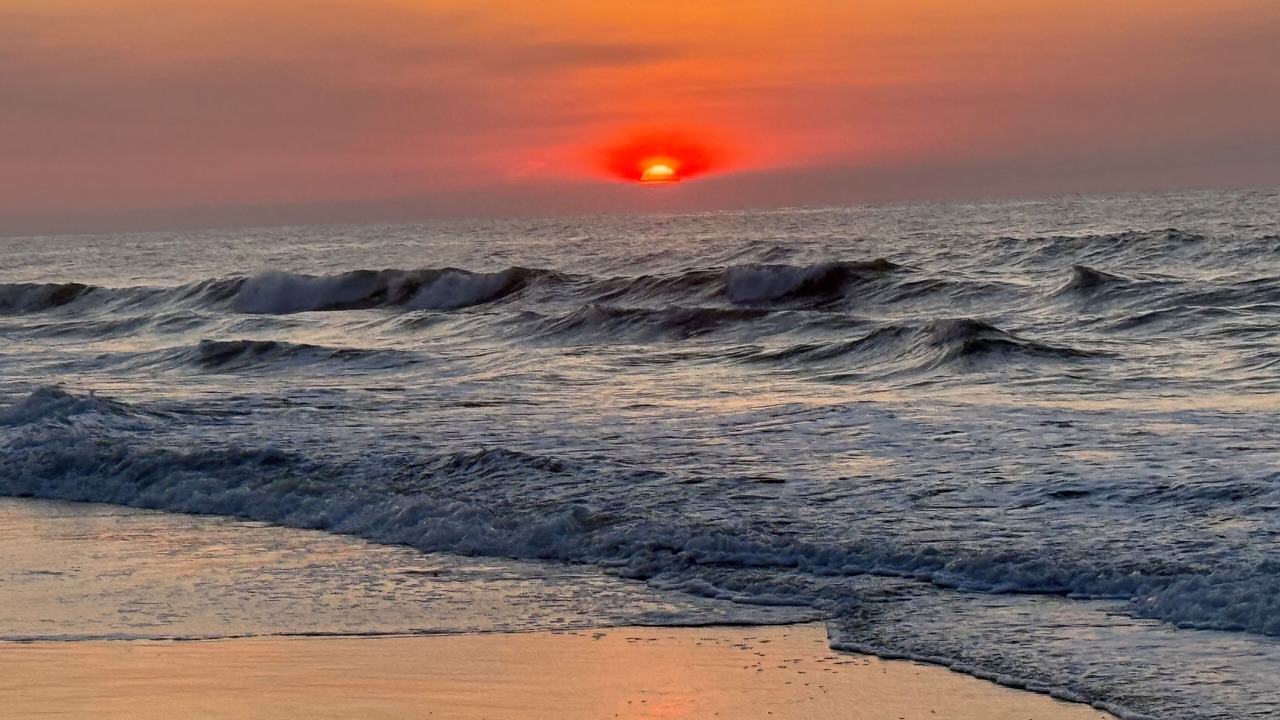 Photo of Others in South Beach Haven