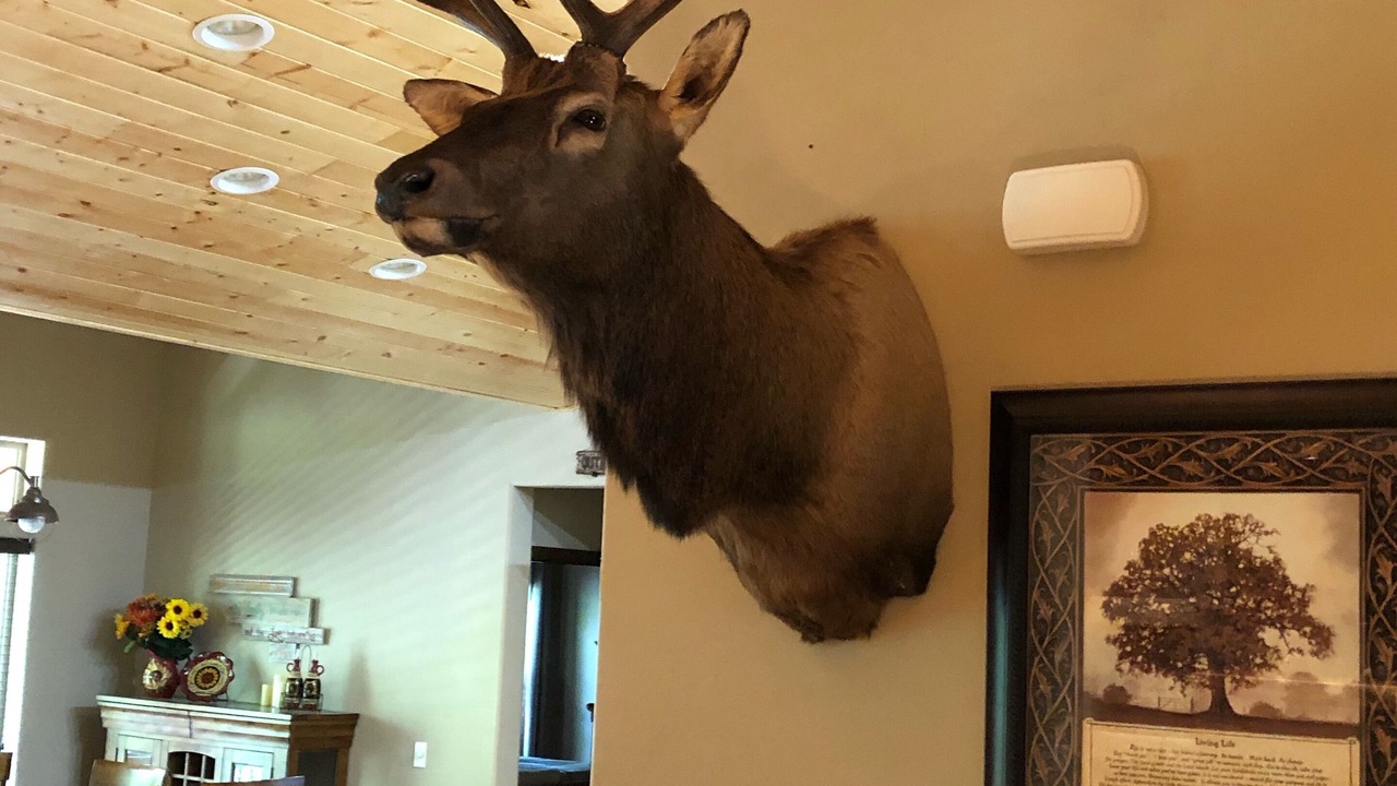 Photo of Others in Ruidoso