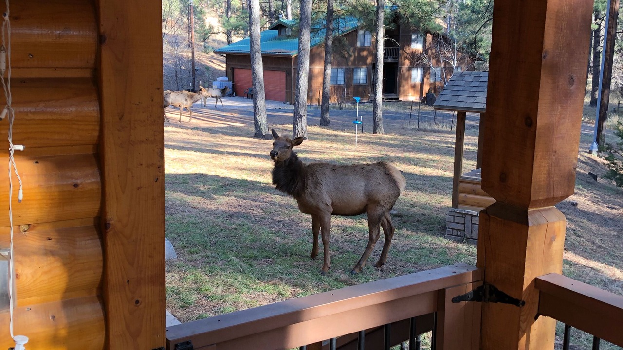 Photo of Outdoor in Ruidoso