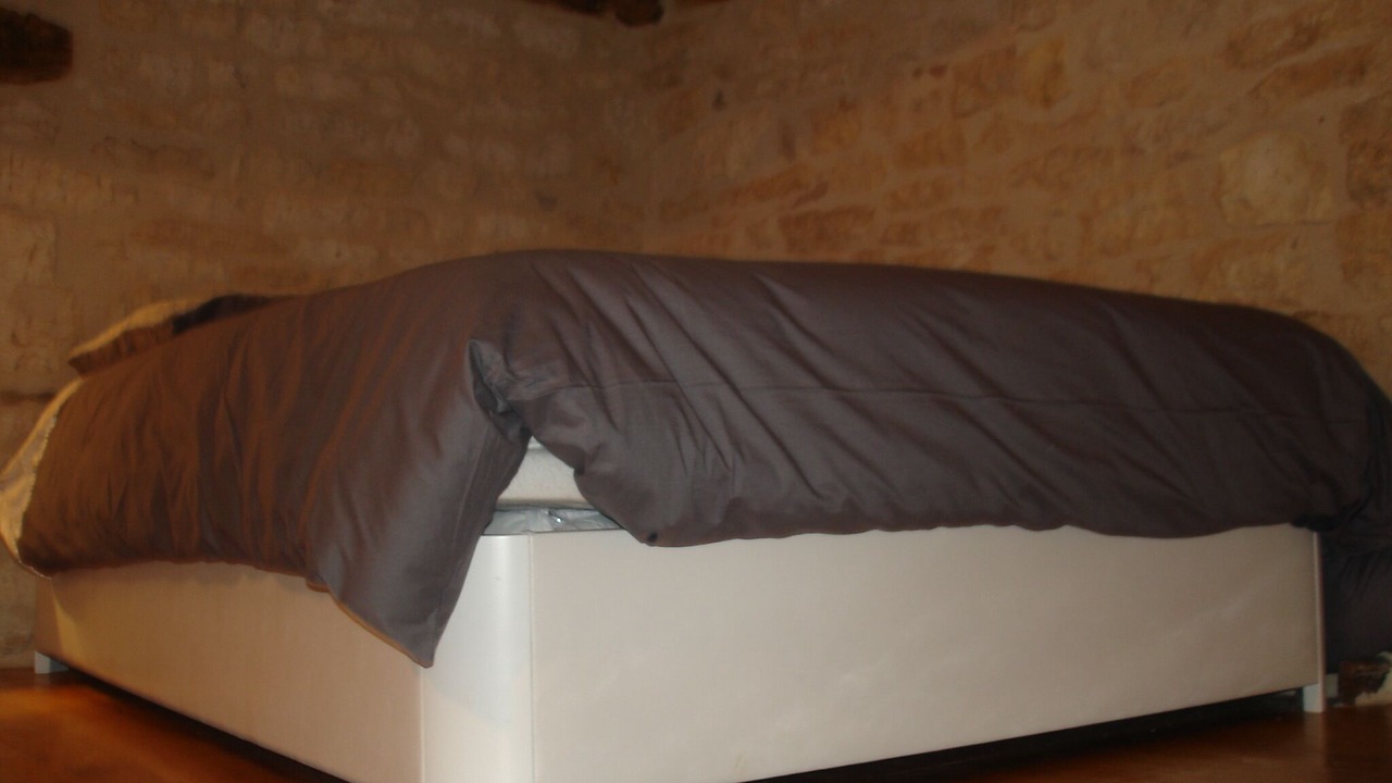 Photo of Bedroom in Virac