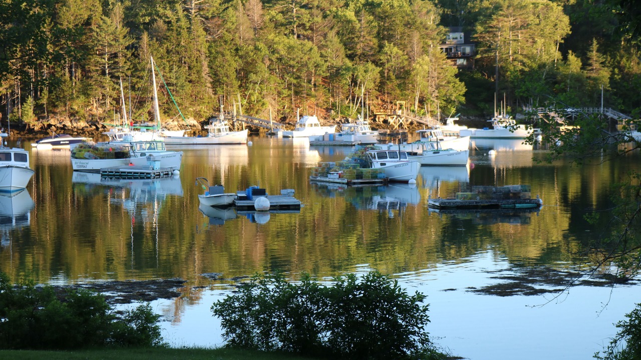 Photo of Others in South Bristol