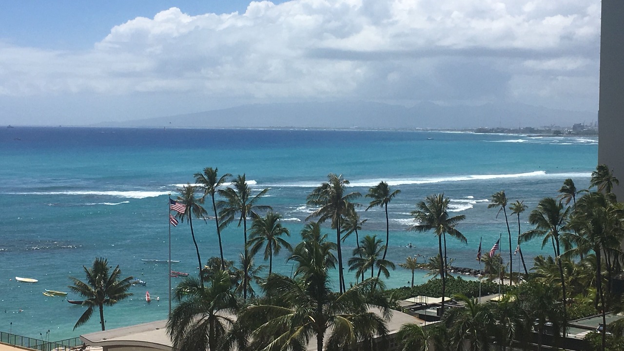 Photo of Others in Diamond Head - Kapahulu - St. Louis