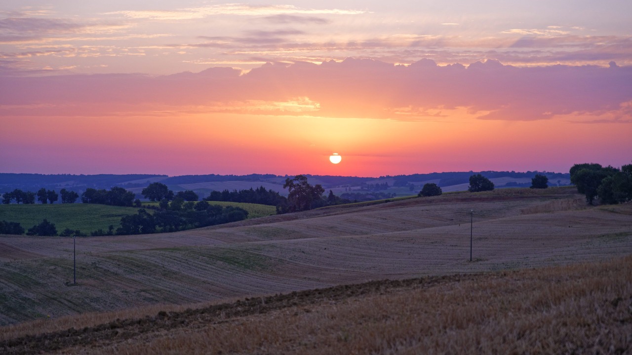 Photo of Others in L'Isle-Jourdain