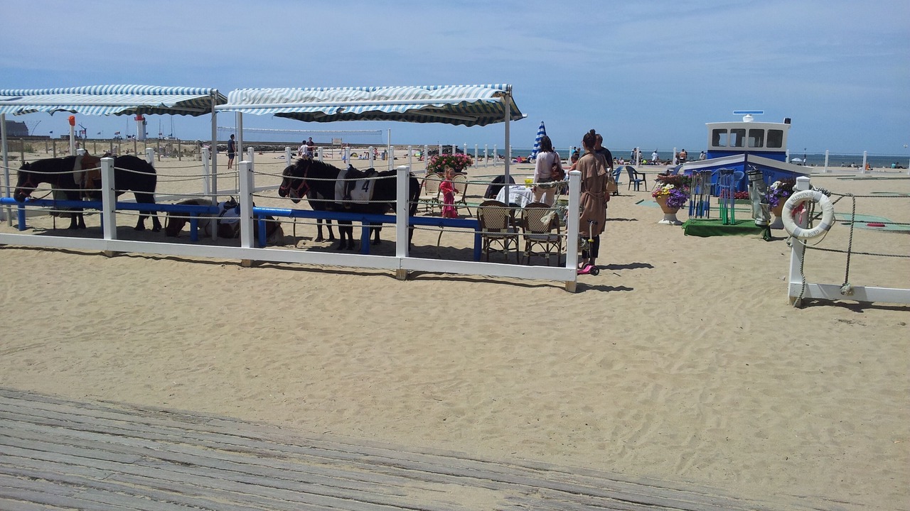 Photo of Others in Trouville-sur-Mer