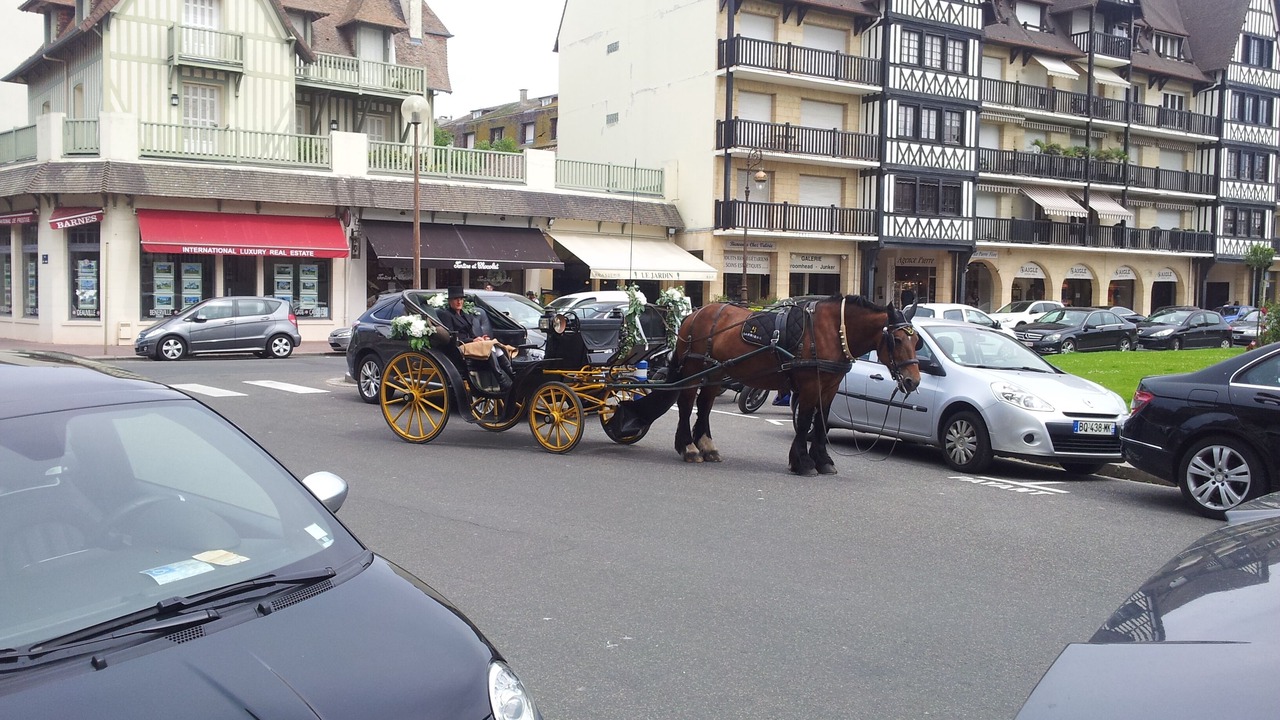 Photo of Others in Trouville-sur-Mer