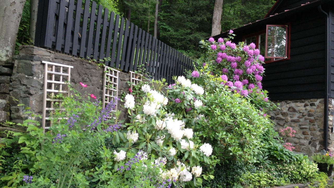 Photo of Outdoor in Mount Tremper