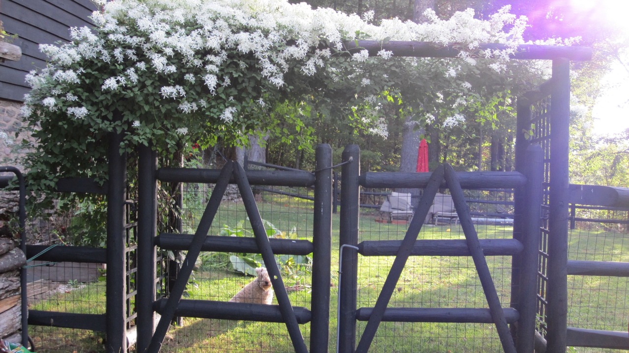 Photo of Outdoor in Mount Tremper