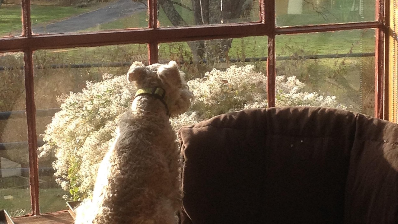 Photo of Others in Mount Tremper