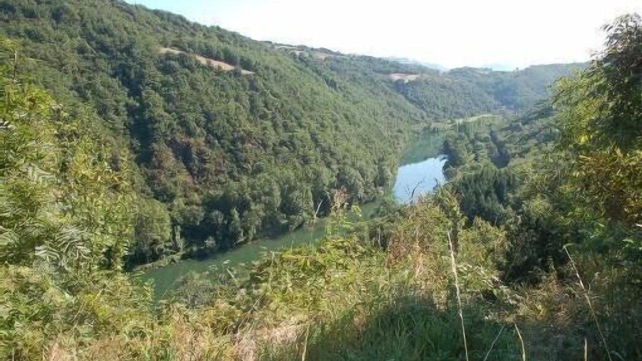 Photo of Others in Montclar