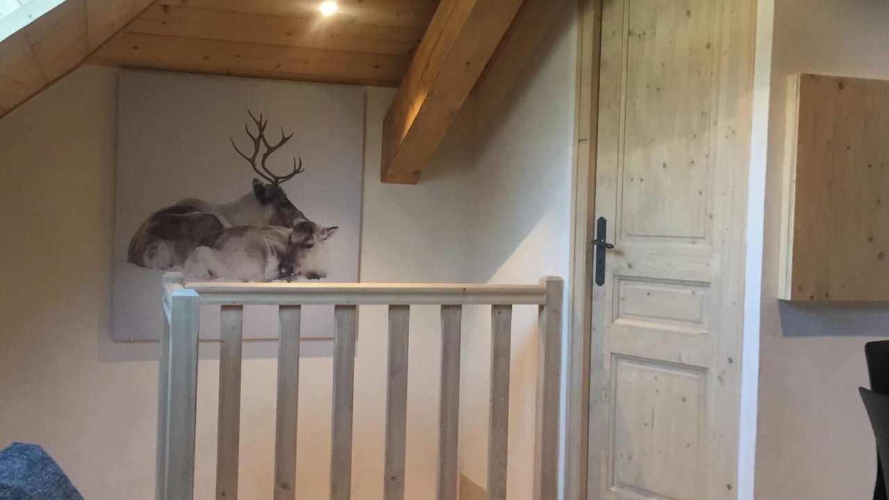 Photo of Others in Taninges