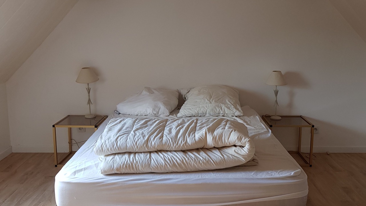 Photo of Bedroom in Savigny-en-Sancerre