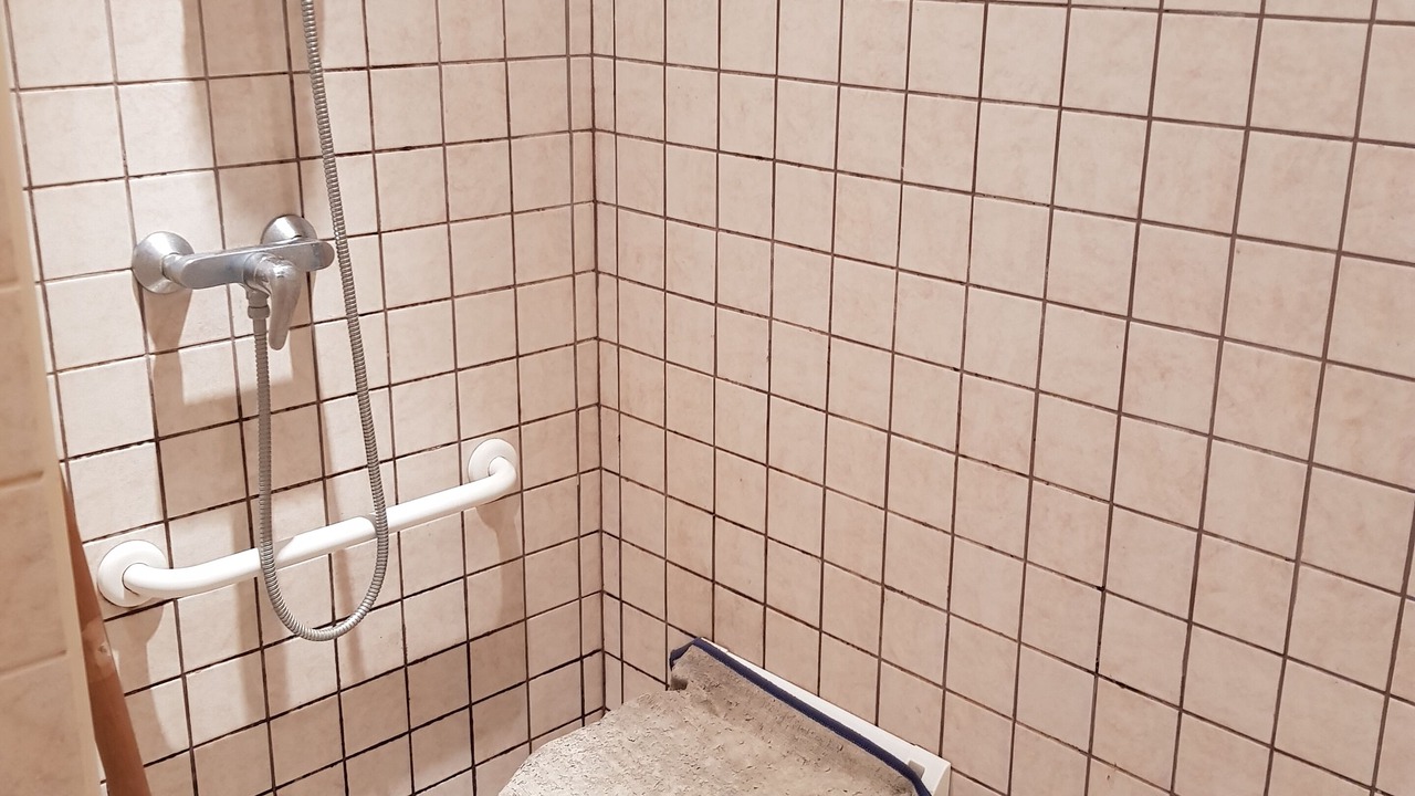 Photo of Bathroom in Savigny-en-Sancerre