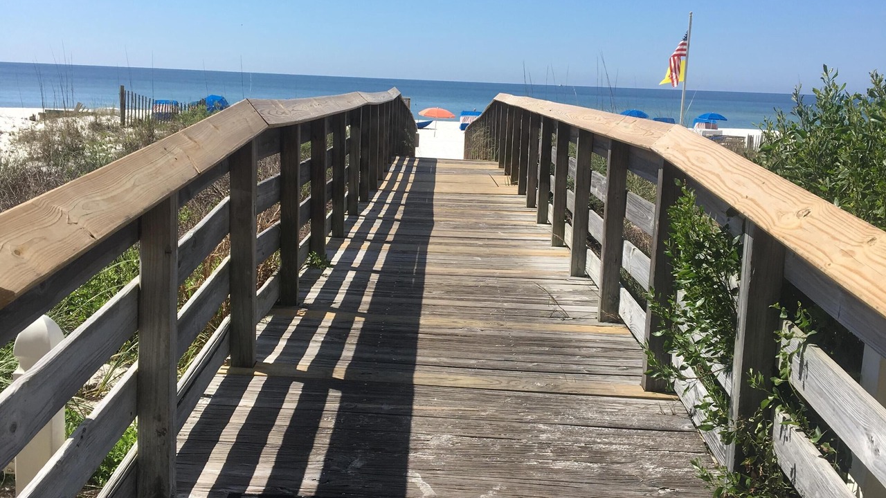 Photo of Others in Gulf Shores