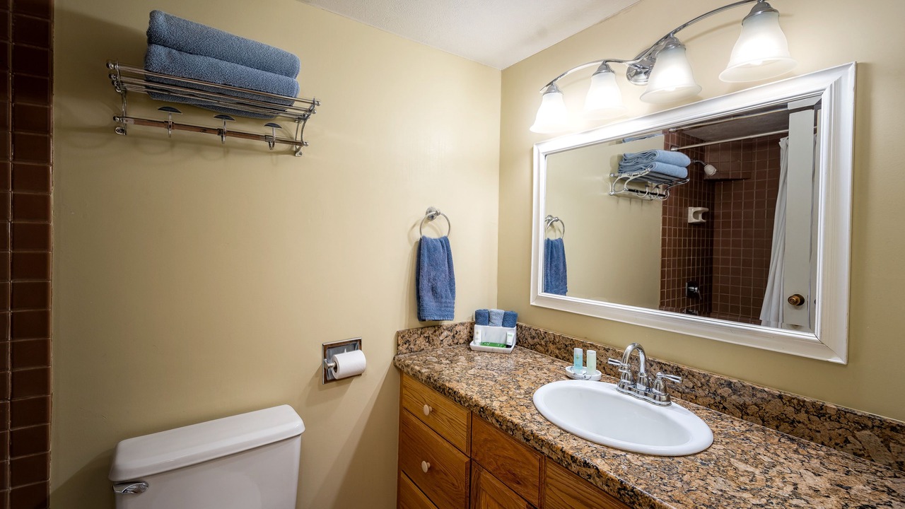 Photo of Bathroom in North Park City