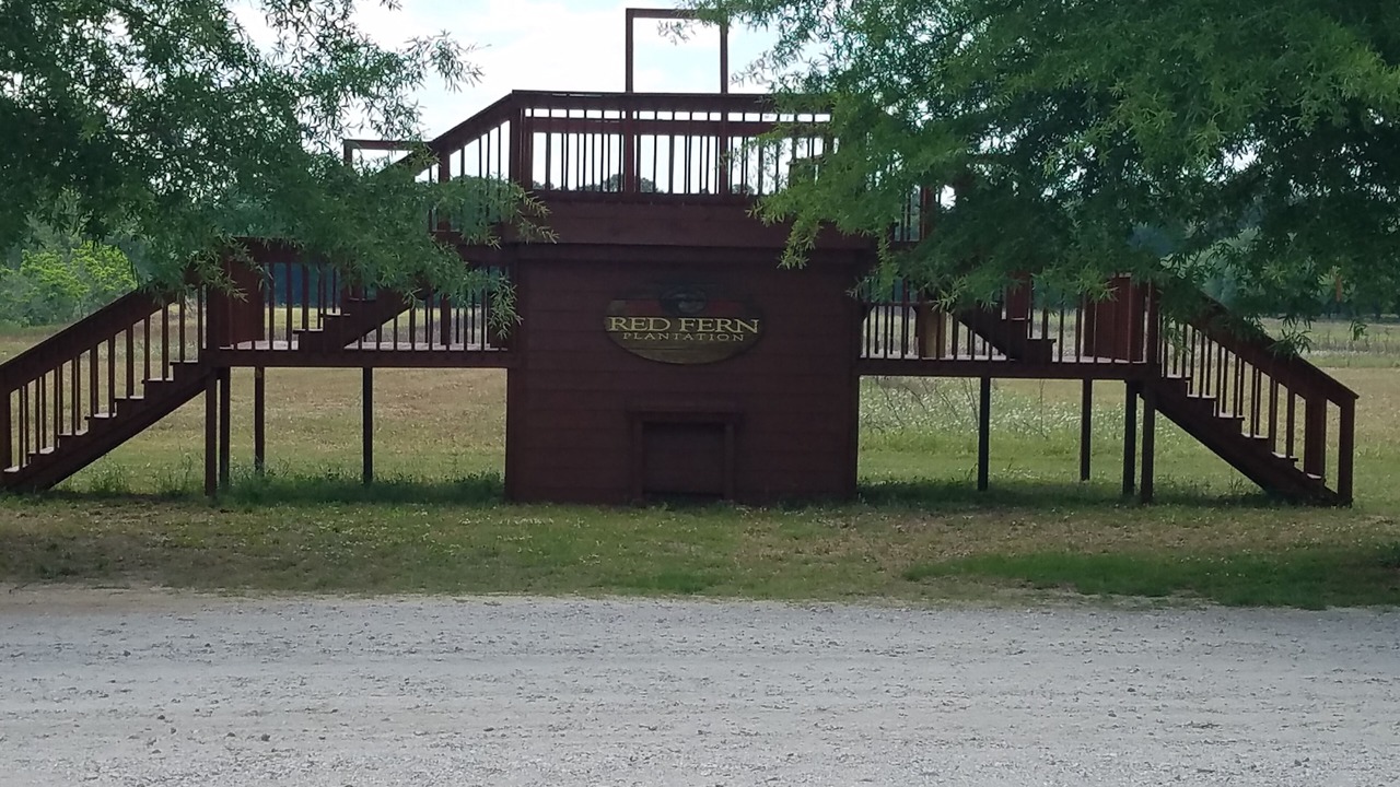 Photo of Outdoor in Statesboro