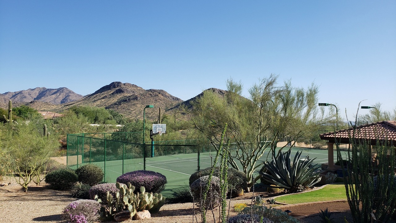 Photo of Others in Pinnacle Peak Heights