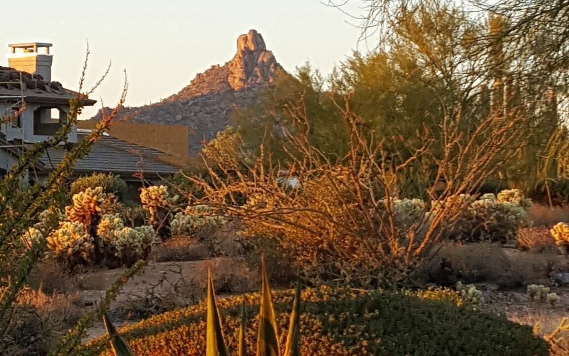 Photo of Others in Pinnacle Peak Heights