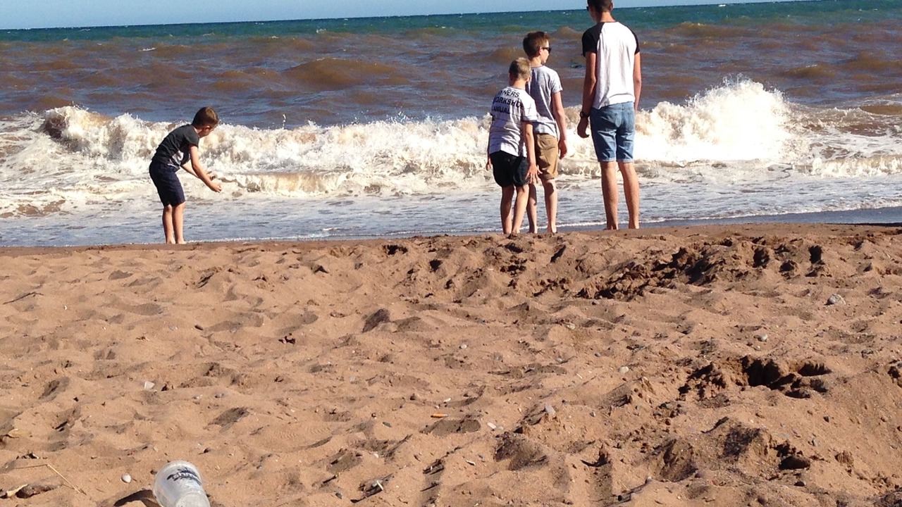 Photo of Others in Dawlish