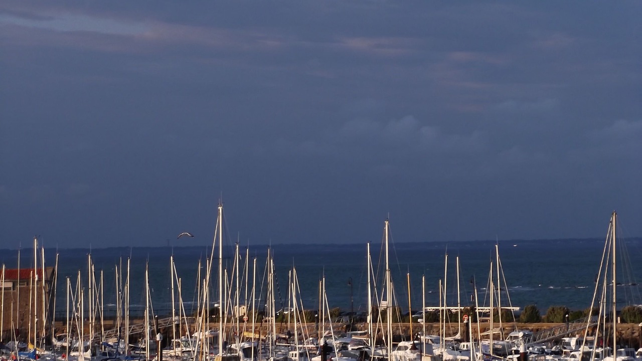 Photo of Others in Noirmoutier-en-l'Ile