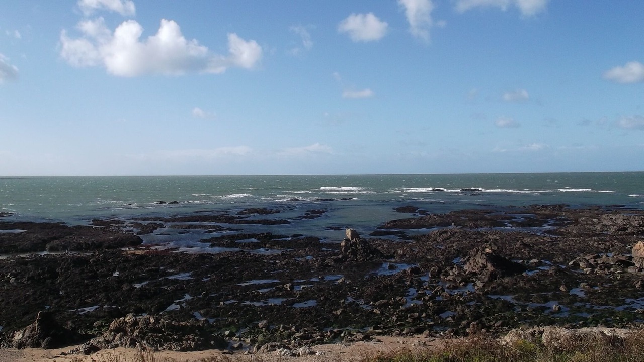 Photo of Others in Noirmoutier-en-l'Ile