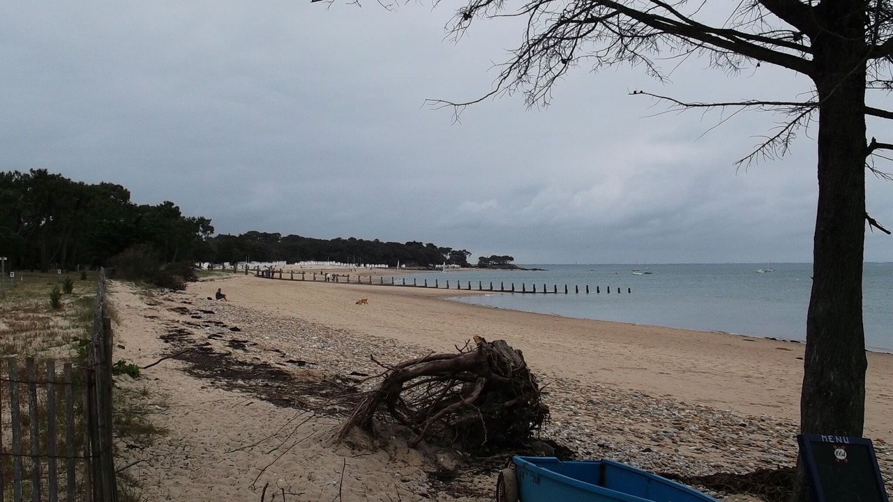 Photo of Others in Noirmoutier-en-l'Ile