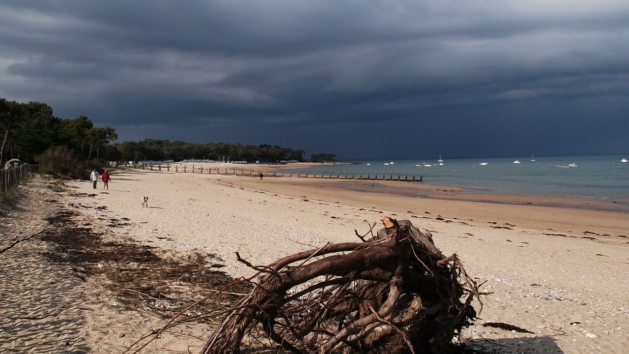 Photo of Others in Noirmoutier-en-l'Ile