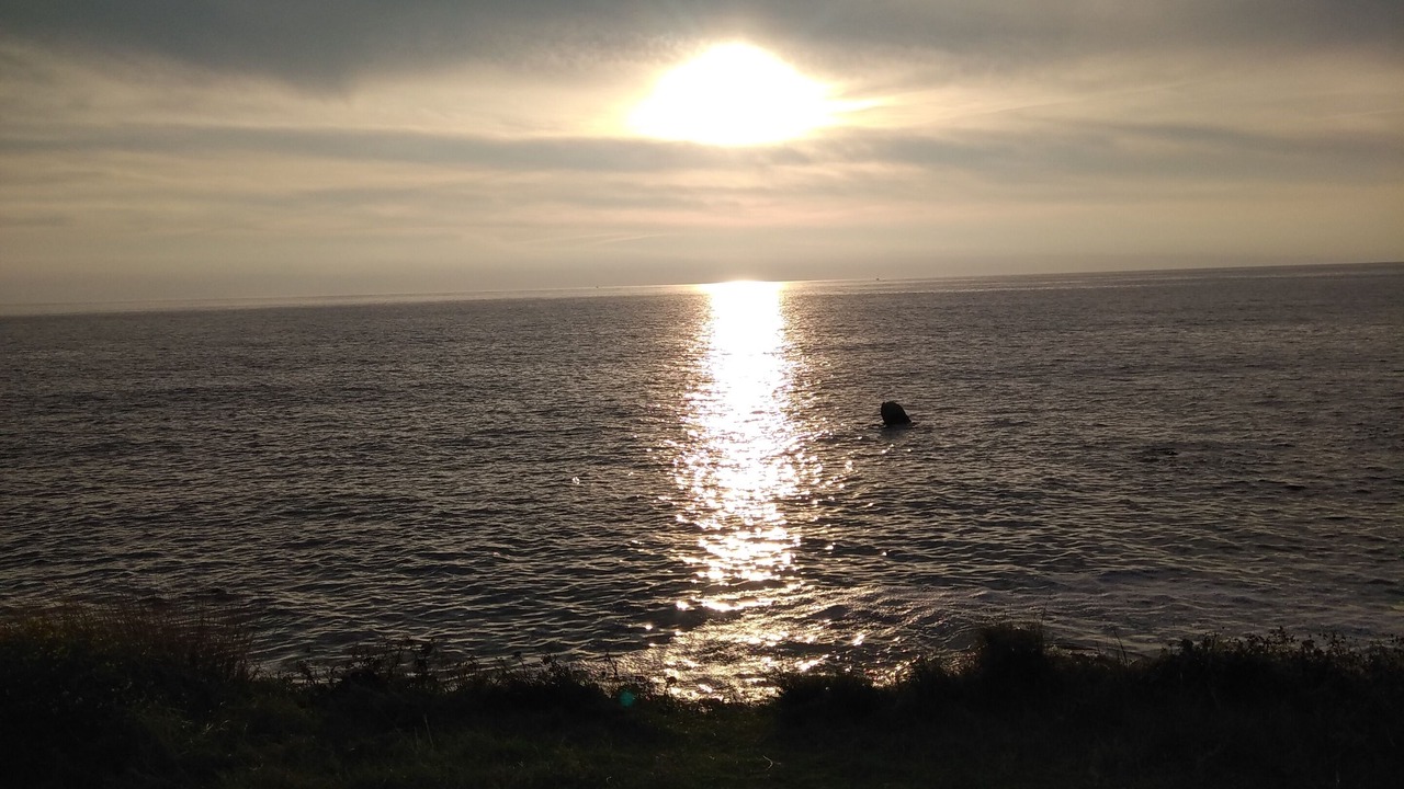 Photo of Others in Noirmoutier-en-l'Ile