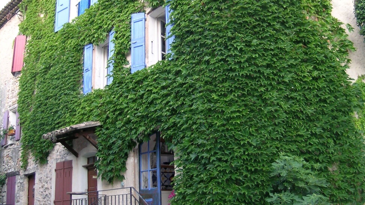 Photo of Outdoor in Vinsobres