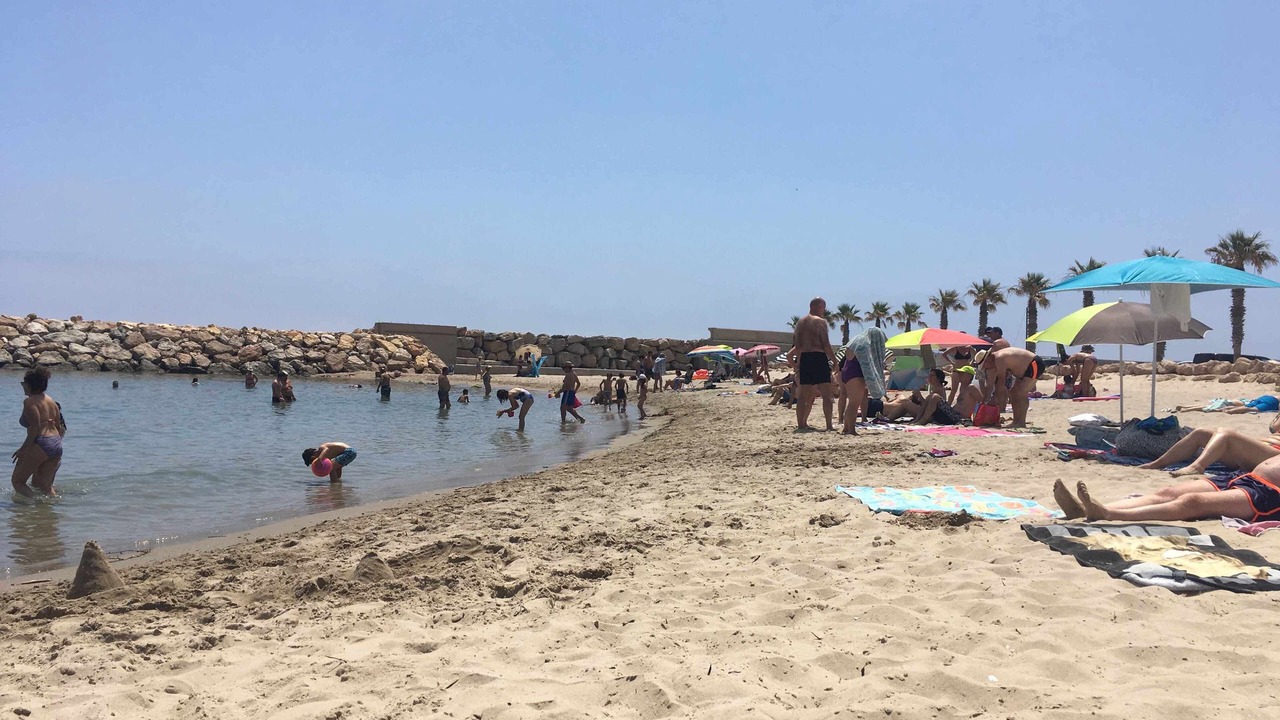 Photo of Others in L Almadrava