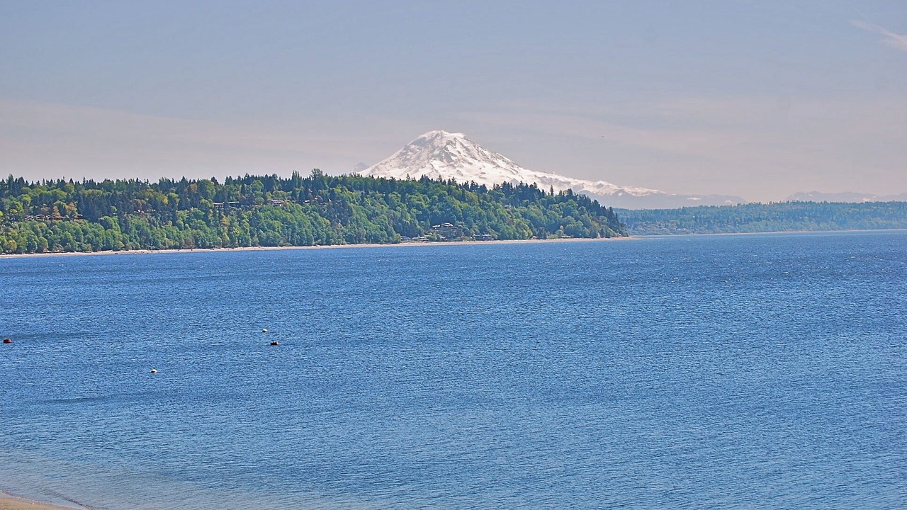 Photo of Others in Three Tree Point