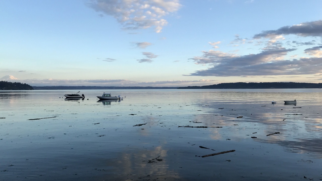 Photo of Others in Three Tree Point