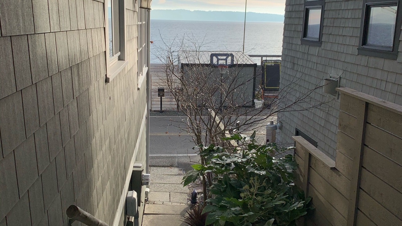 Photo of Others in Three Tree Point