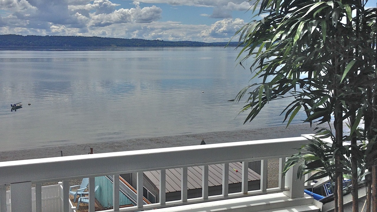 Photo of Others in Three Tree Point