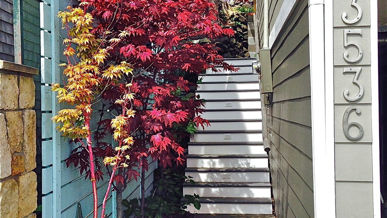 Photo of Others in Three Tree Point