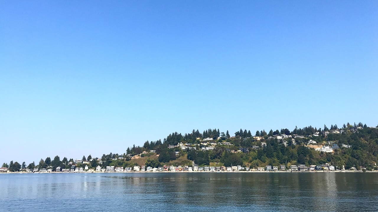 Photo of Others in Three Tree Point
