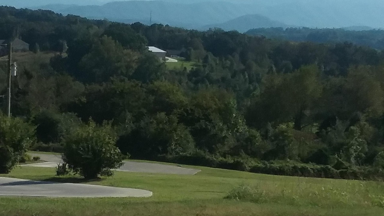 Photo of Others in Sevierville