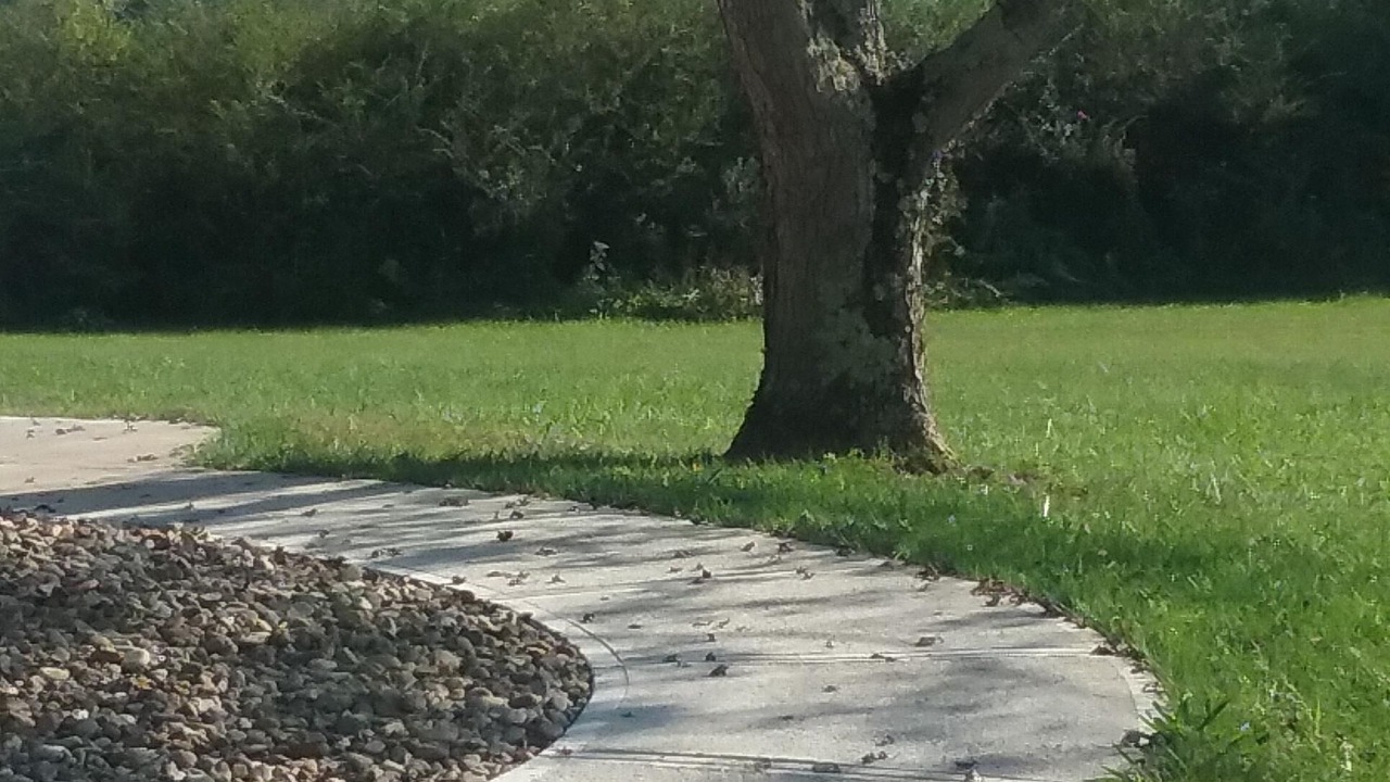 Photo of Outdoor in Sevierville