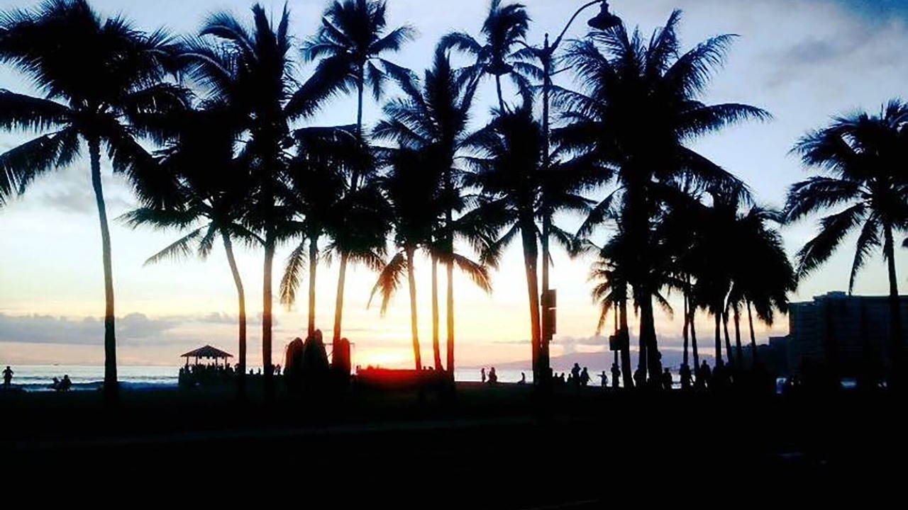 Photo of Others in Waikiki