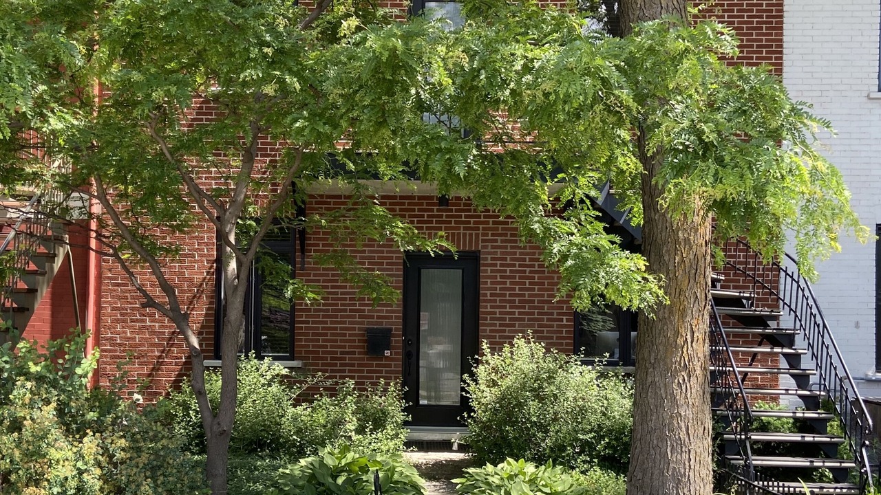 Photo of Outdoor in La Petite-Patrie