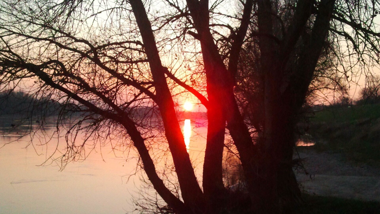 Photo of Outdoor in Luynes