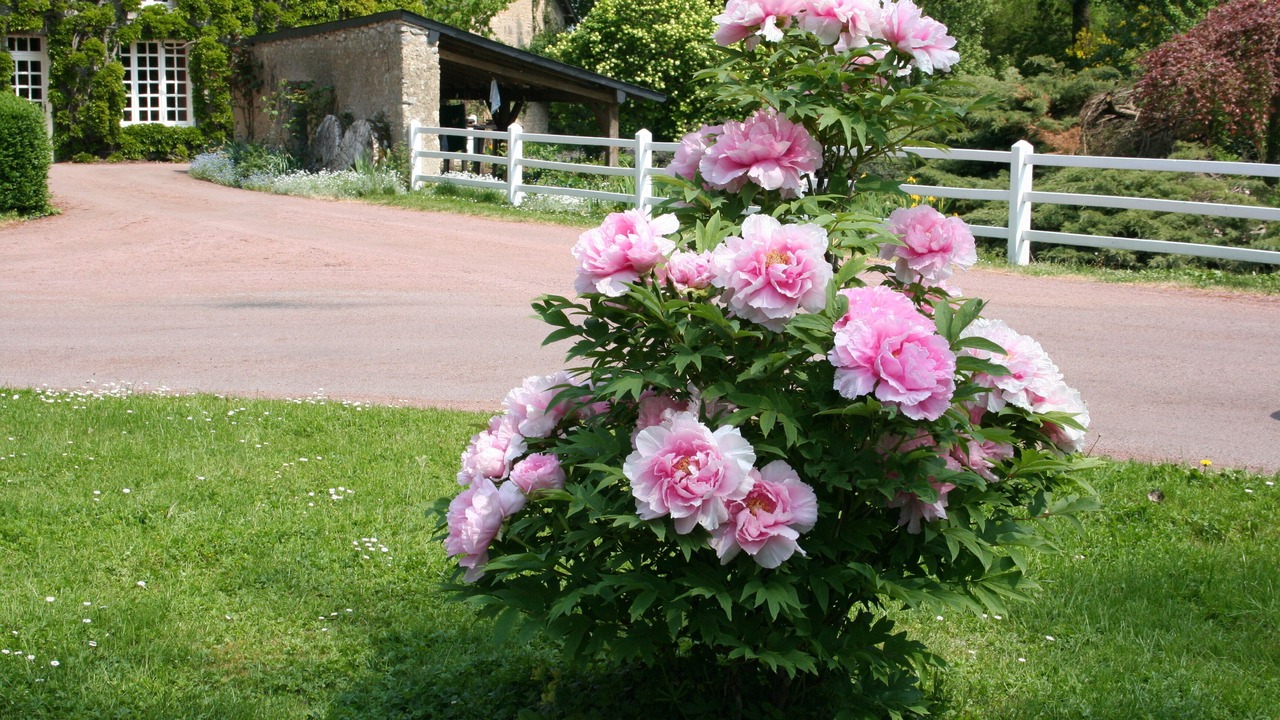 Photo of Outdoor in Marnes