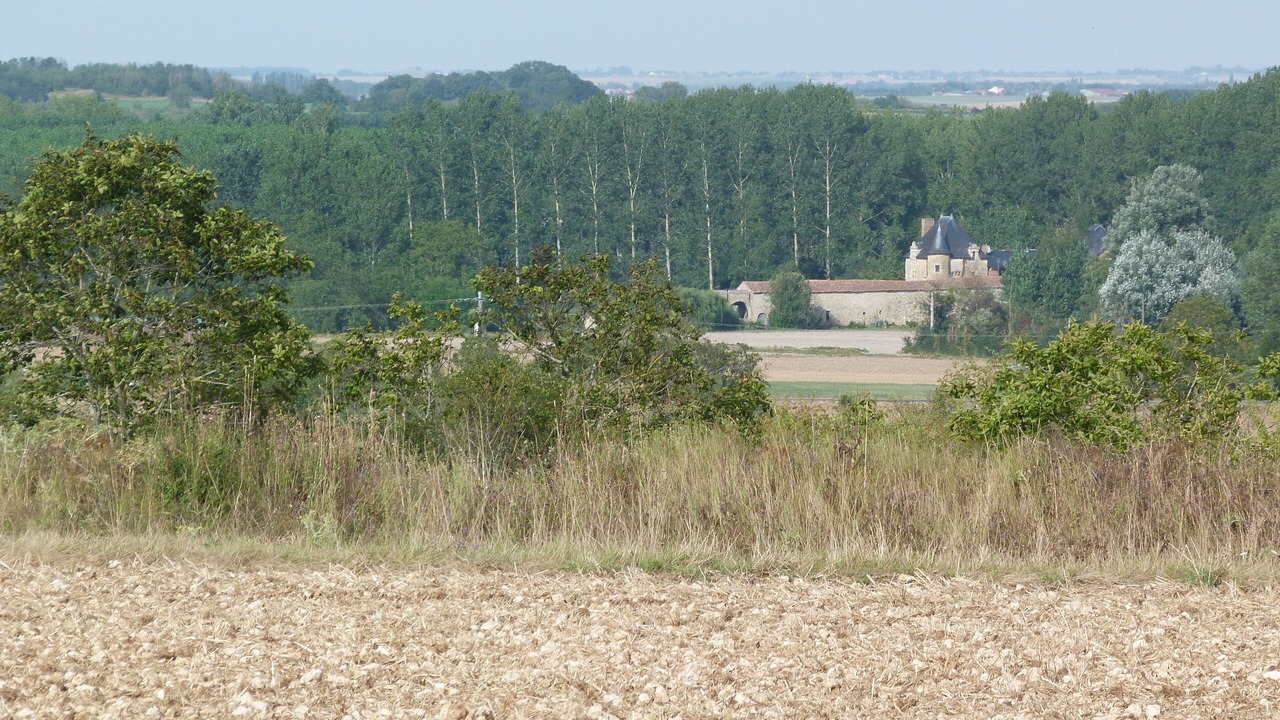 Photo of Others in Marnes