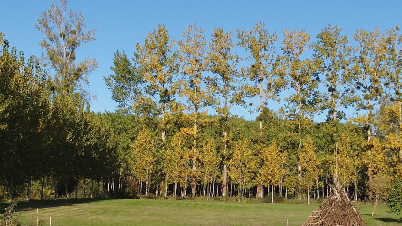 Photo of Outdoor in Marnes