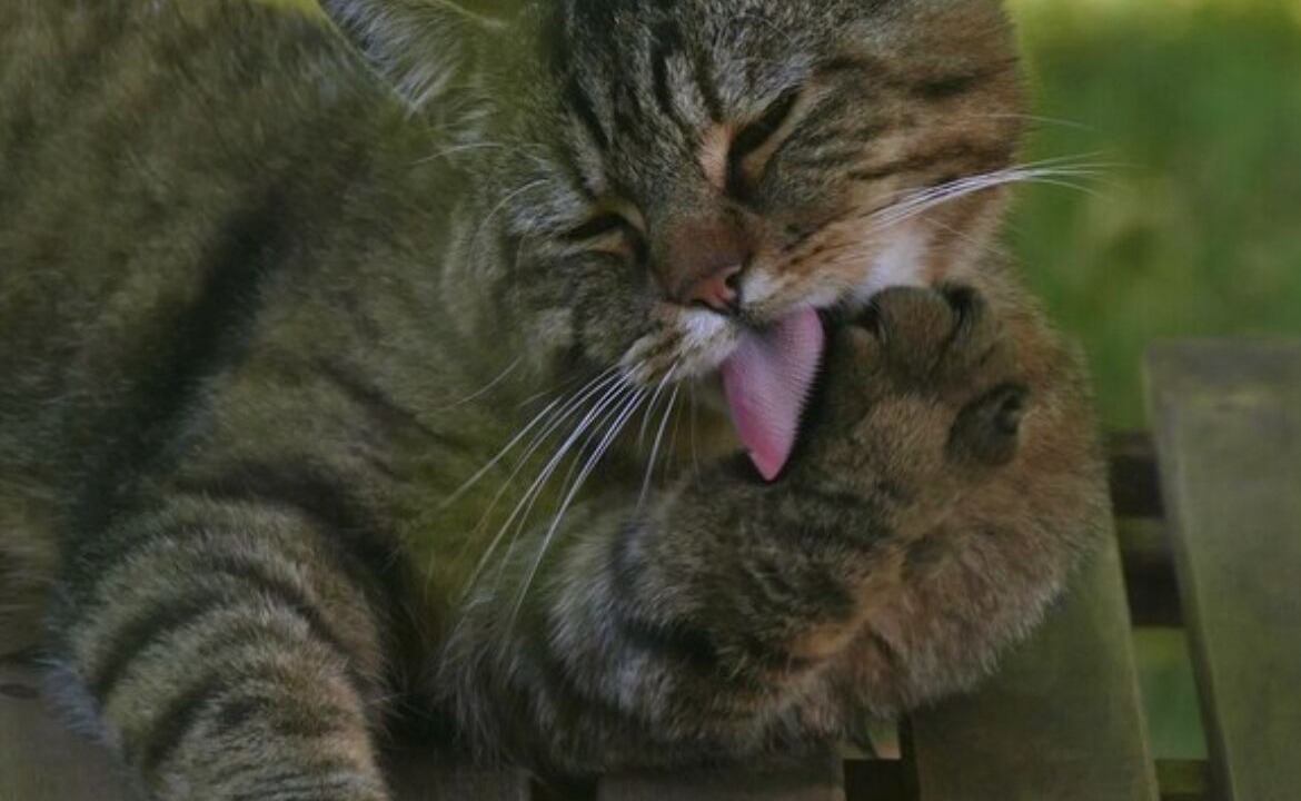 Photo of Others in Savonnieres