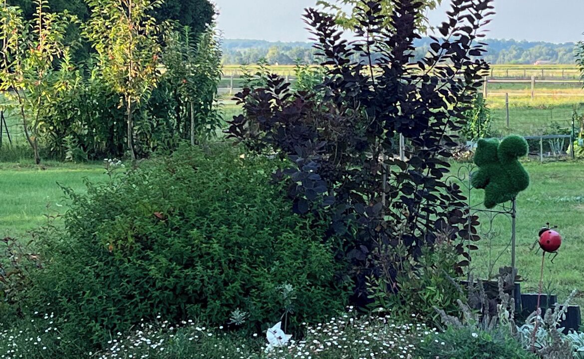 Photo of Outdoor in Savonnieres