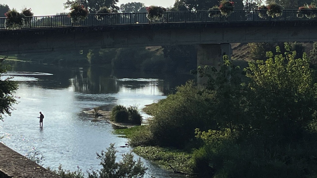 Photo of Outdoor in Savonnieres