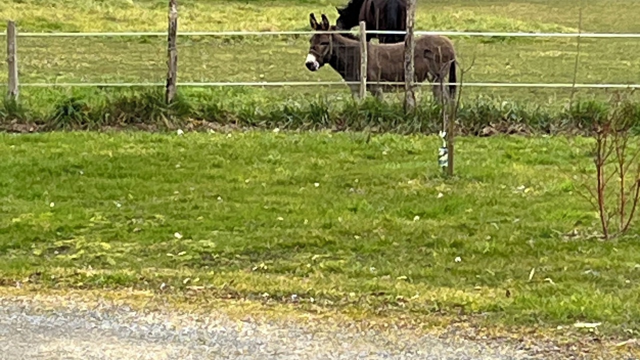 Photo of Others in Savonnieres