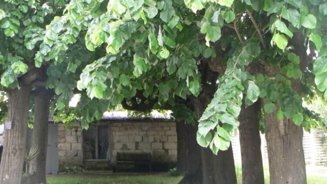 Photo of Outdoor in Reze