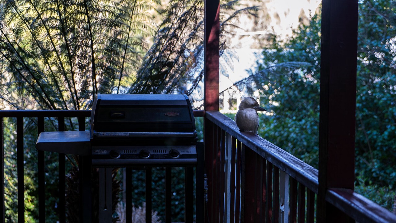 Photo of Patio Balcony in Mount Dandenong
